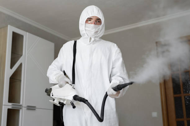 Asbestos and Lead Testing During Mold Inspection in Bethel Park, PA